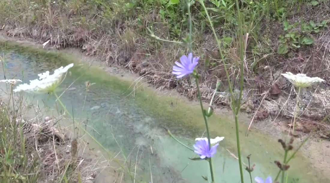 Mještani Lopara u strahu da će napuštati svoja ognjišta zbog litija - odlučili da ne daju Majevicu