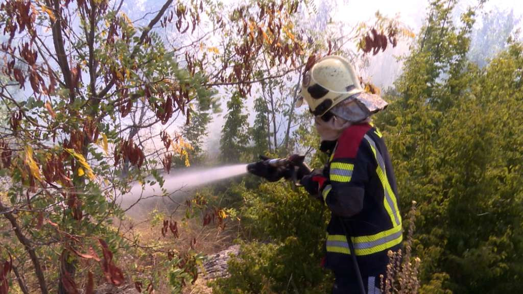 Zabrana spaljivanja suhe trave i niskog raslinja na području Grada Livna