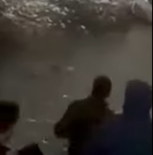 (VIDEO) Migranti u Velikoj Kladuši spasili ženu od utapanja