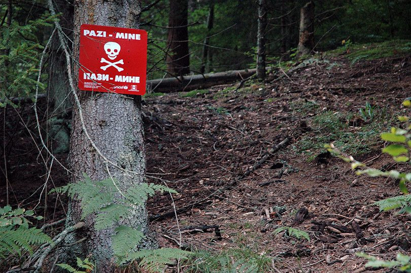 Obradović: Tri osobe ušle u obilježeno minsko polje, jedna poginula