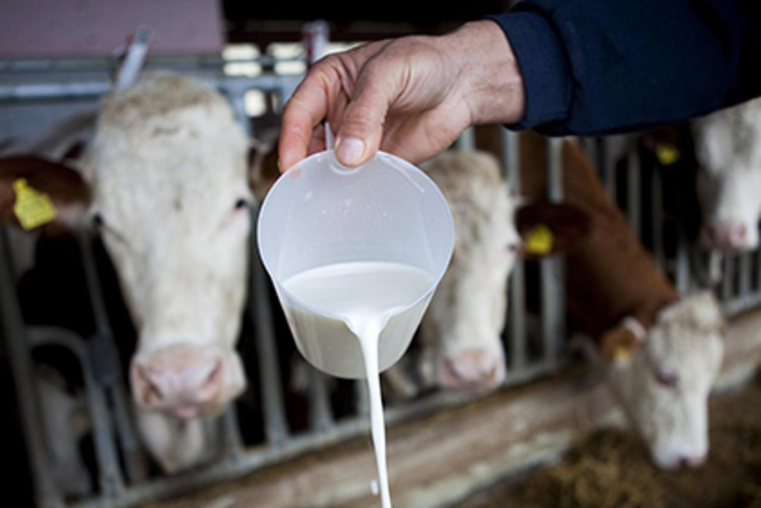 Veladžić upozorava da nema viška mlijeka na tržištu i traži regulisanje uvoza mlijeka