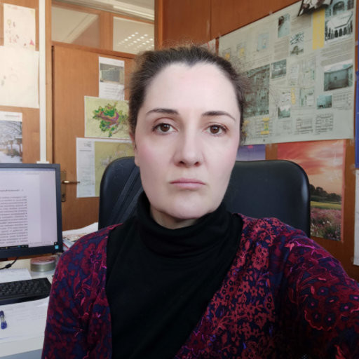 Pelja-Tabori za FR: Sistemsko zanemarivanje javnog prostora