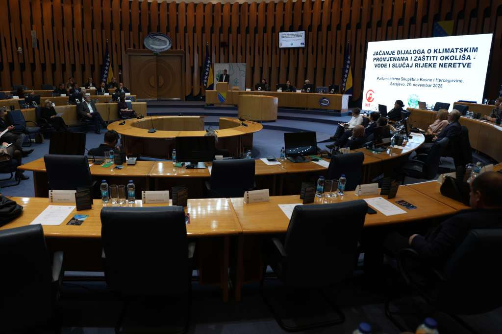 Hidroelektrana "Ulog" glavni je krivac za nedavni pomor ribe u Neretvi