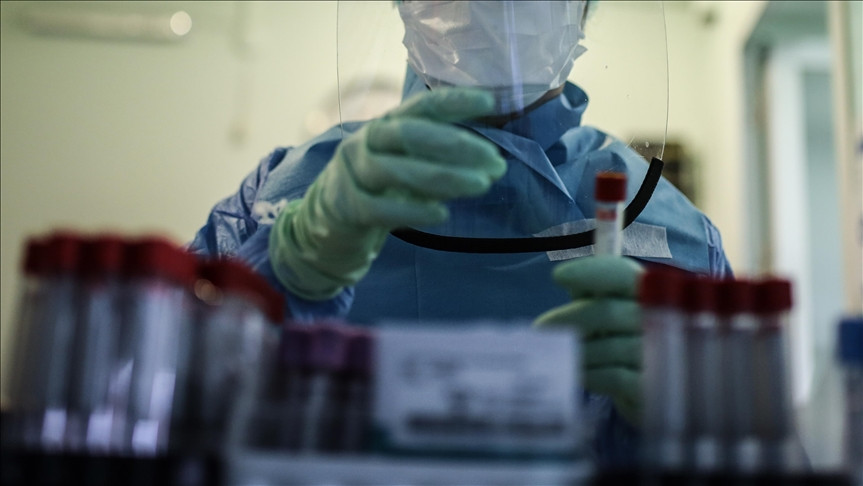 Nigerija proglasila vanredno stanje zbog Lassa groznice