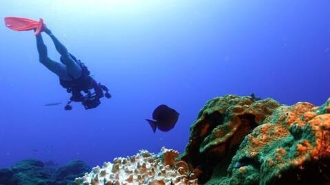 Temperature okeana oborile toplotni rekord petu godinu zaredom