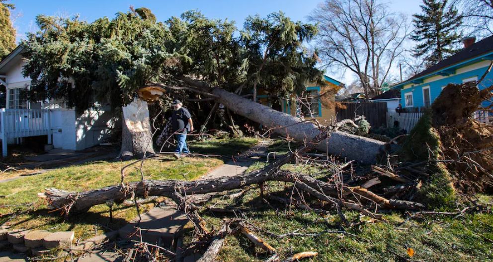 Oluja u SAD-u: Bez struje više od pola miliona ljudi
