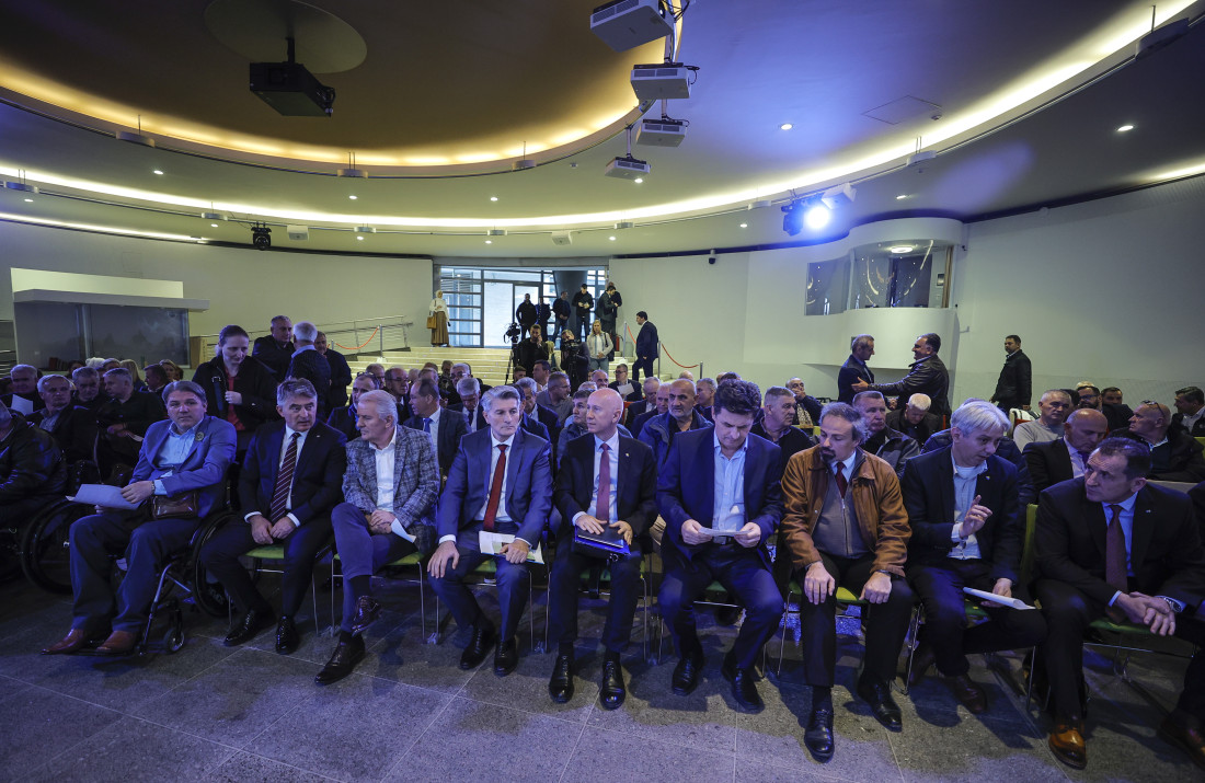 "Na miran način političkim sredstvima braniti Bosnu i Hercegovinu"