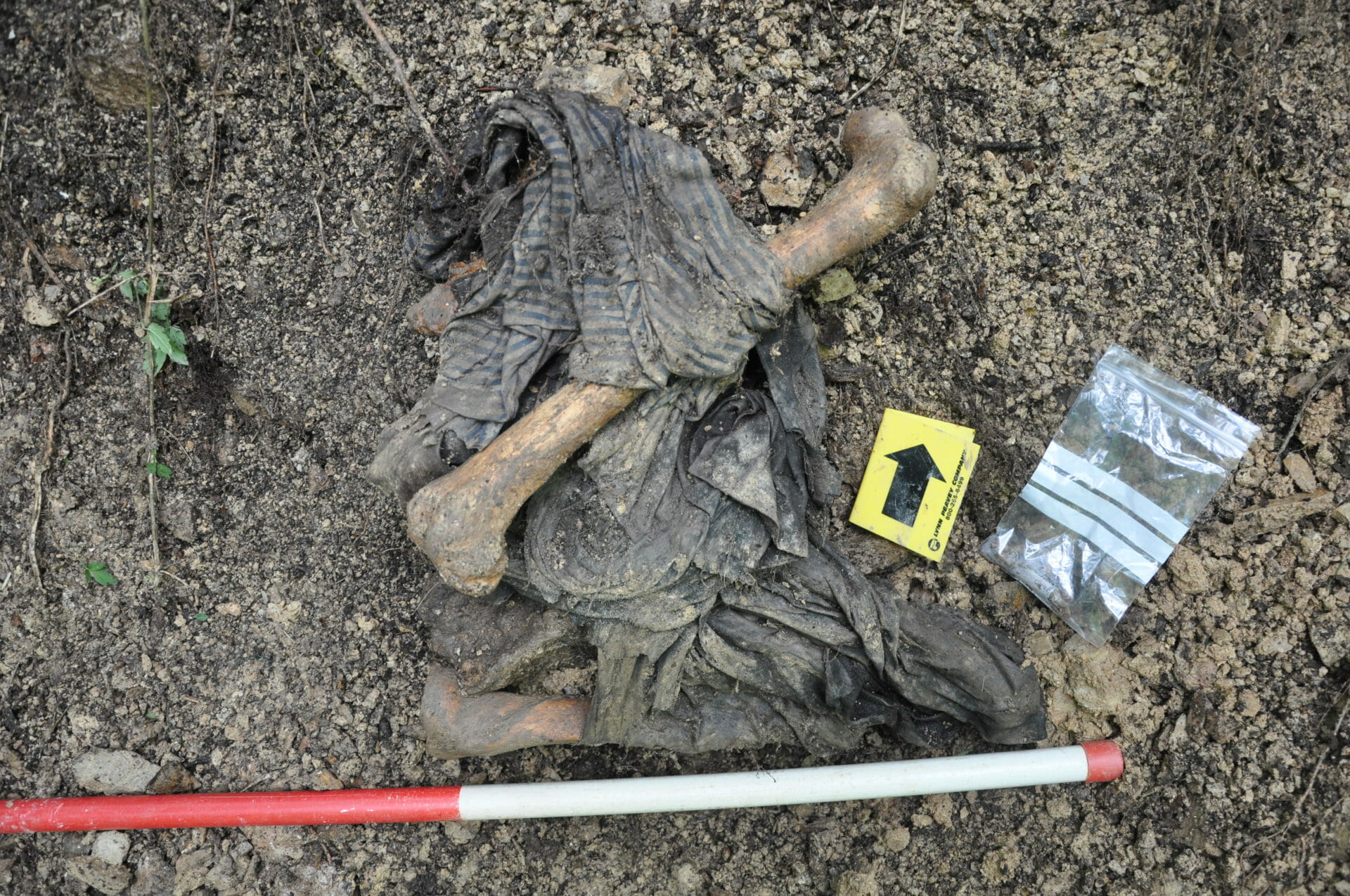 Utvrđeni identiteti Srebreničana pronađenih na području gdje su djelovali “Škorpioni”