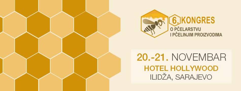 Pčelarstvo kao motiv mladima za ostanak u BiH