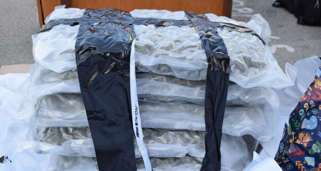 Kod Umaga zaplijenjeno više od 11 kilograma marihuane