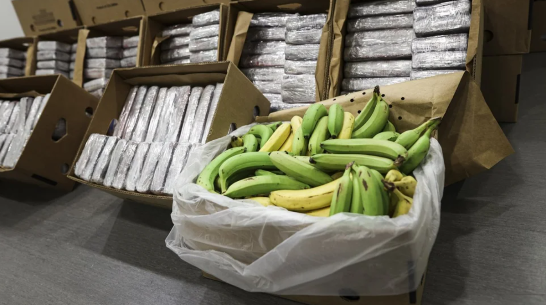 Portugalska policija zaplijenila 4,2 tone kokaina skrivenog u pošiljci banana