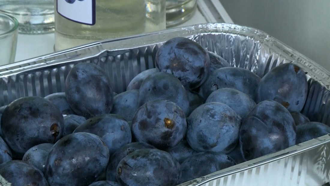 Otvoreni tradicionalni 'Dani šljive Rama 2022'