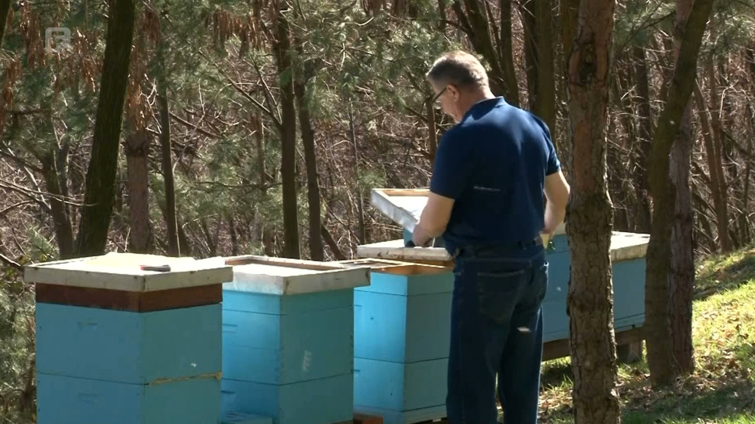 Uvezemo 2.000 tona meda godišnje, domaćim proizvođačima treba veća podrška