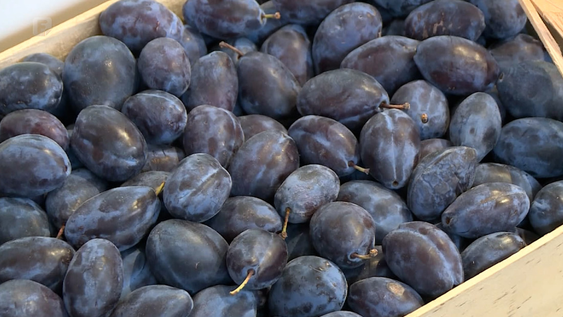 Otvoren sajam 'Dani šljive' Prozor-Rama, 80-ak izlagača iz čitave BiH predstavlja svoje proizvode