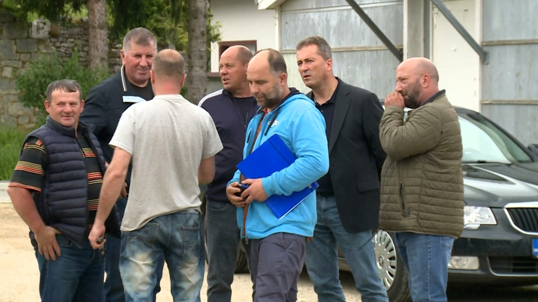 Mljekari iz USK-a traže povećanje otkupne cijene mlijeka