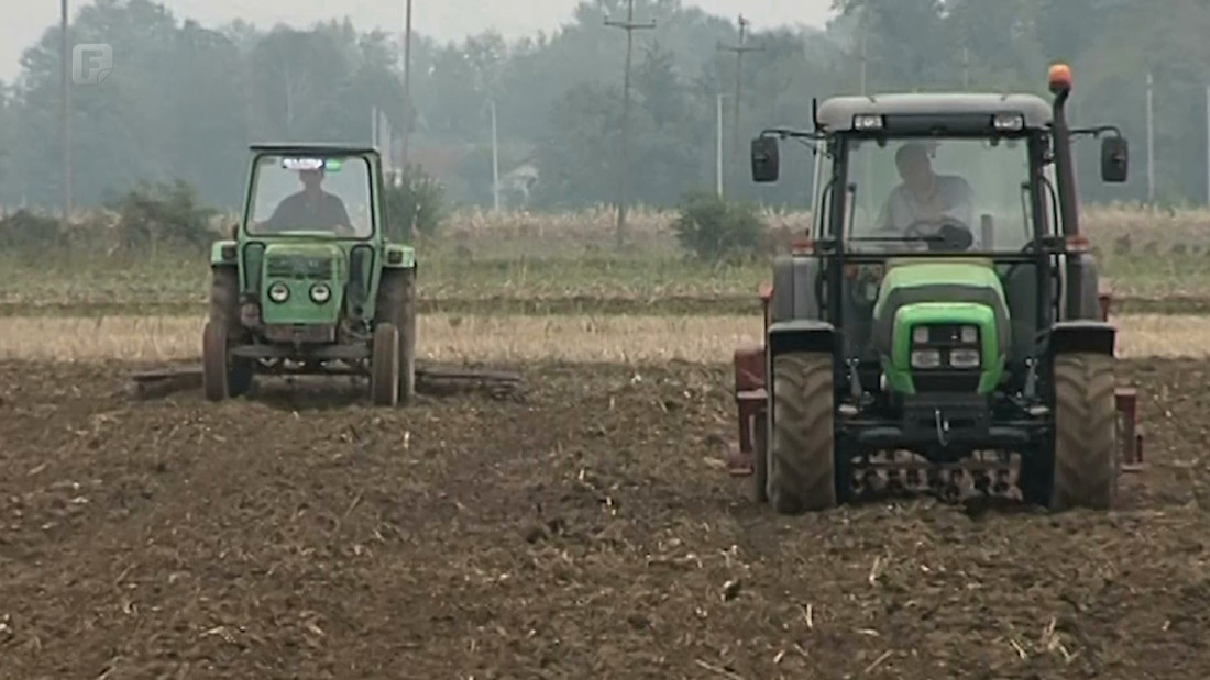 Gasi li se najveća bh. žitnica?