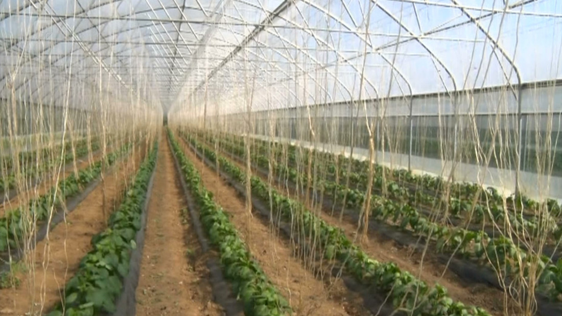 U ZDK-u će povećati izdvajanja za poljoprivredu