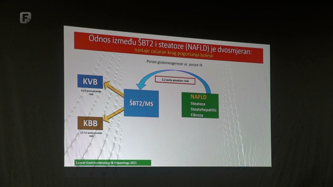 U Livnu edukacija o dijabetesu, predstavljena i baza podataka oboljelih