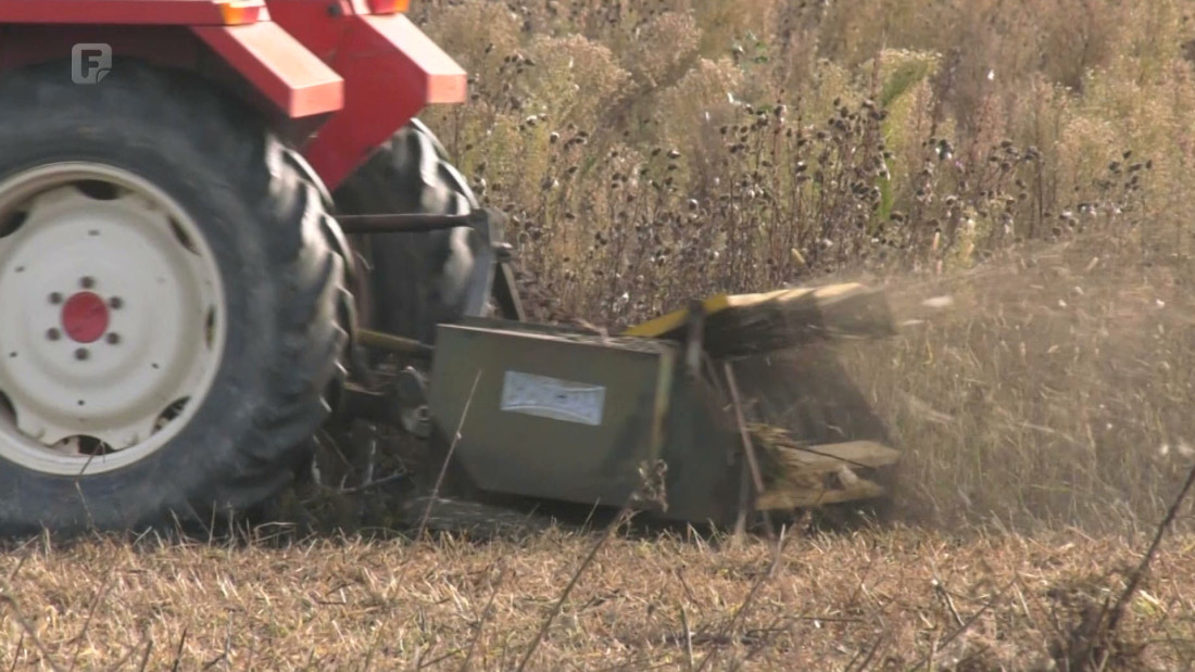 Poljoprivrednicima u FBiH novčane podrške 41,93 posto od iznosa ulaganja