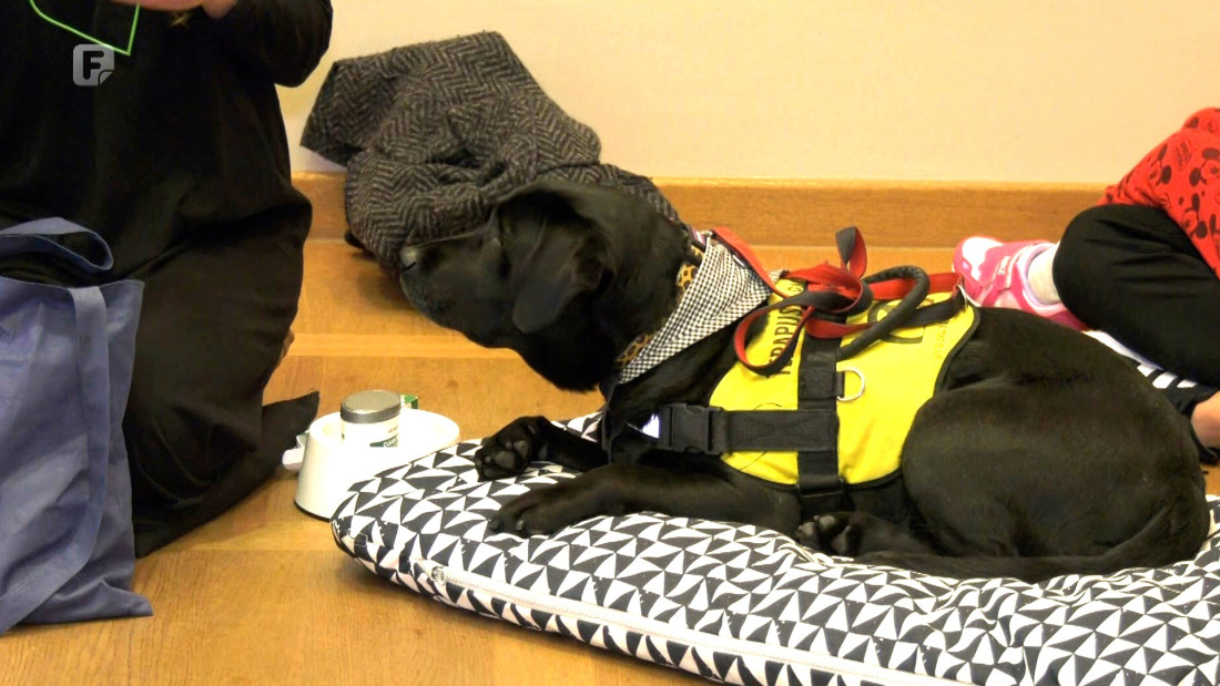 Muzej Franjevačkog samostana u Tolisi posjetio prvi muzejski terapijski pas u Hrvatskoj