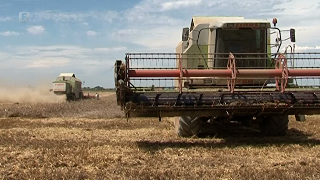 Nekoliko dana do žetve, a ratarima otkupna cijena još nije poznata
