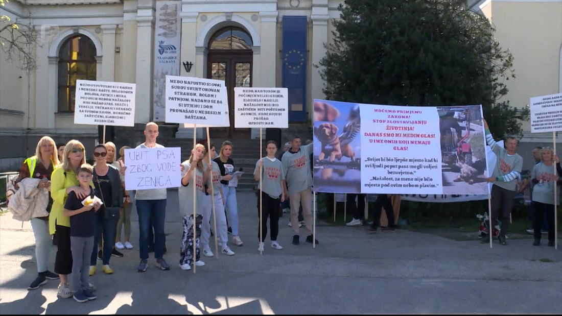 Protest u Sarajevu zbog nasilja nad životinjama: Traže izmjenu zakona