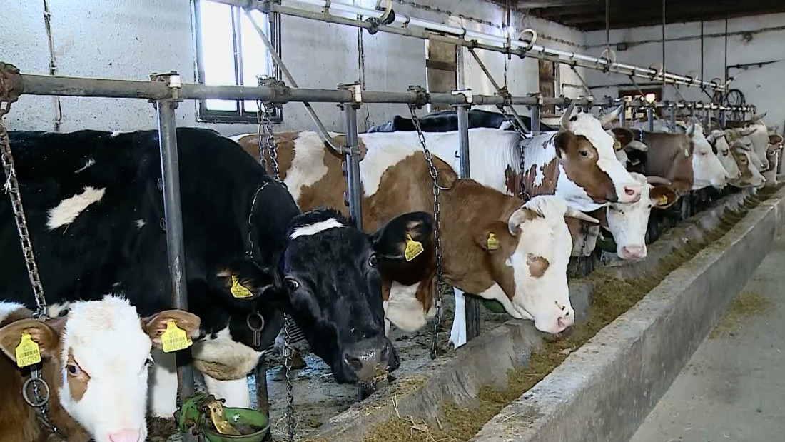 Poljoprivrednici u FBiH upozoravaju: Teško će biti održati obim postojeće proizvodnje