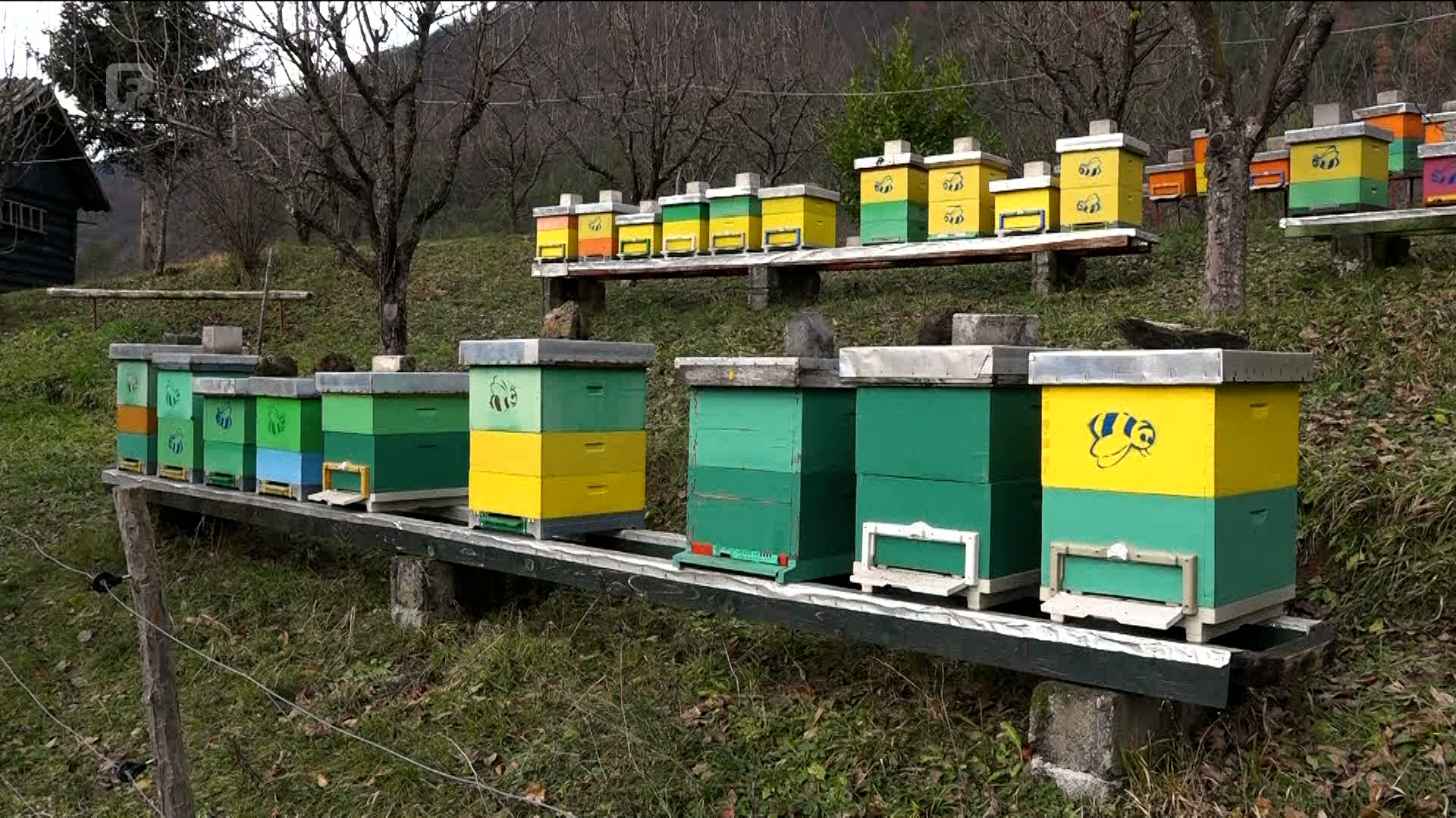 Jajački pčelari dobili svoj centar, vrijednost projekta 130.000 KM