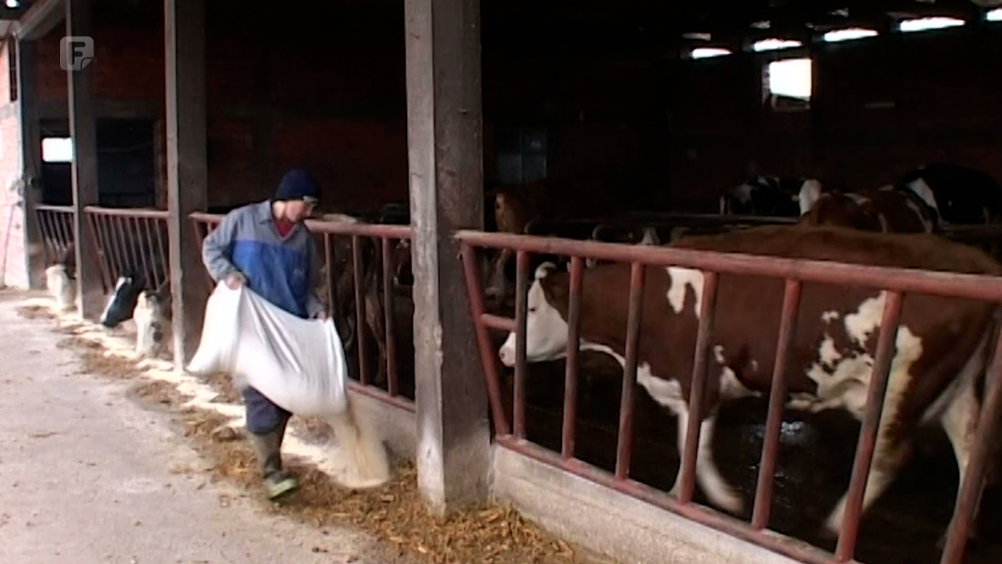 Farmeri pozivaju nadležne da reaguju: Visoka cijena mlijeka neopravdana