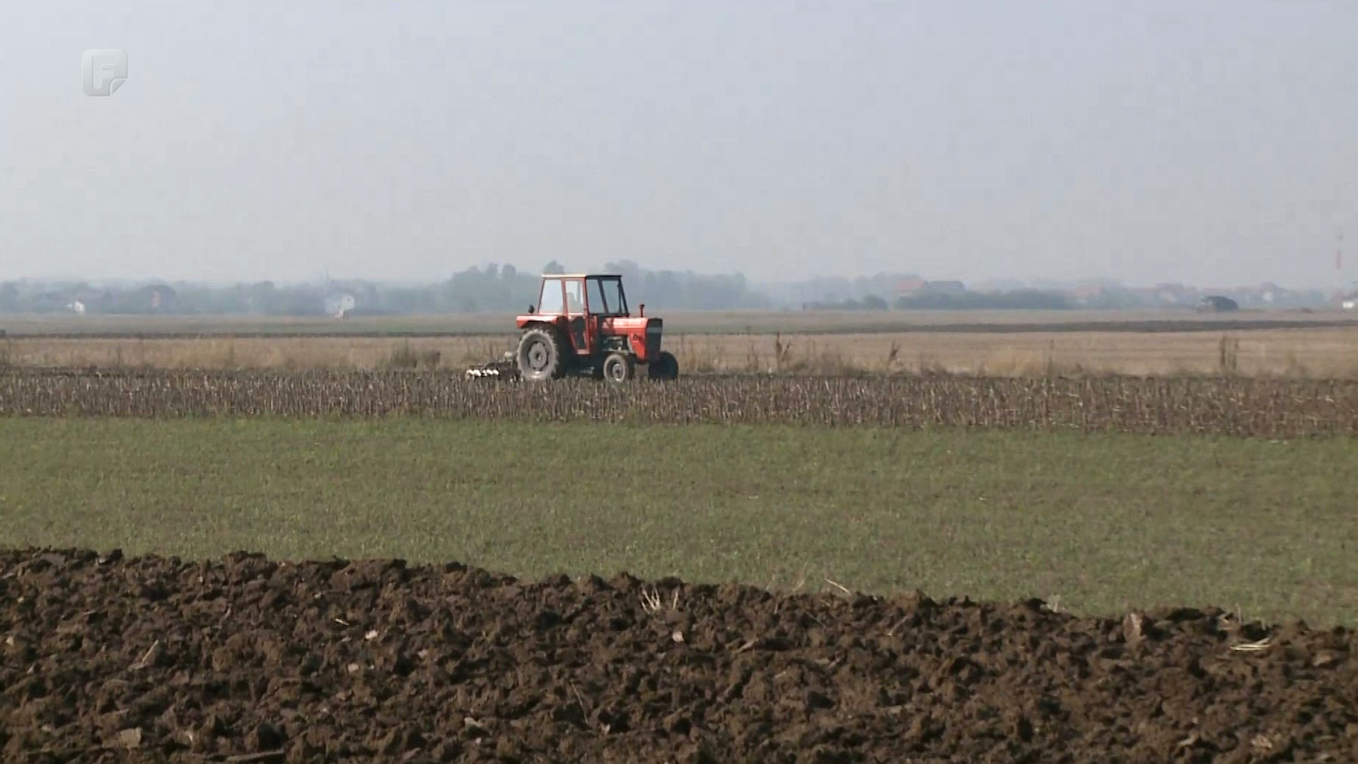 Otkupna cijena pšenice još uvijek nepoznata, ratari zabrinuti