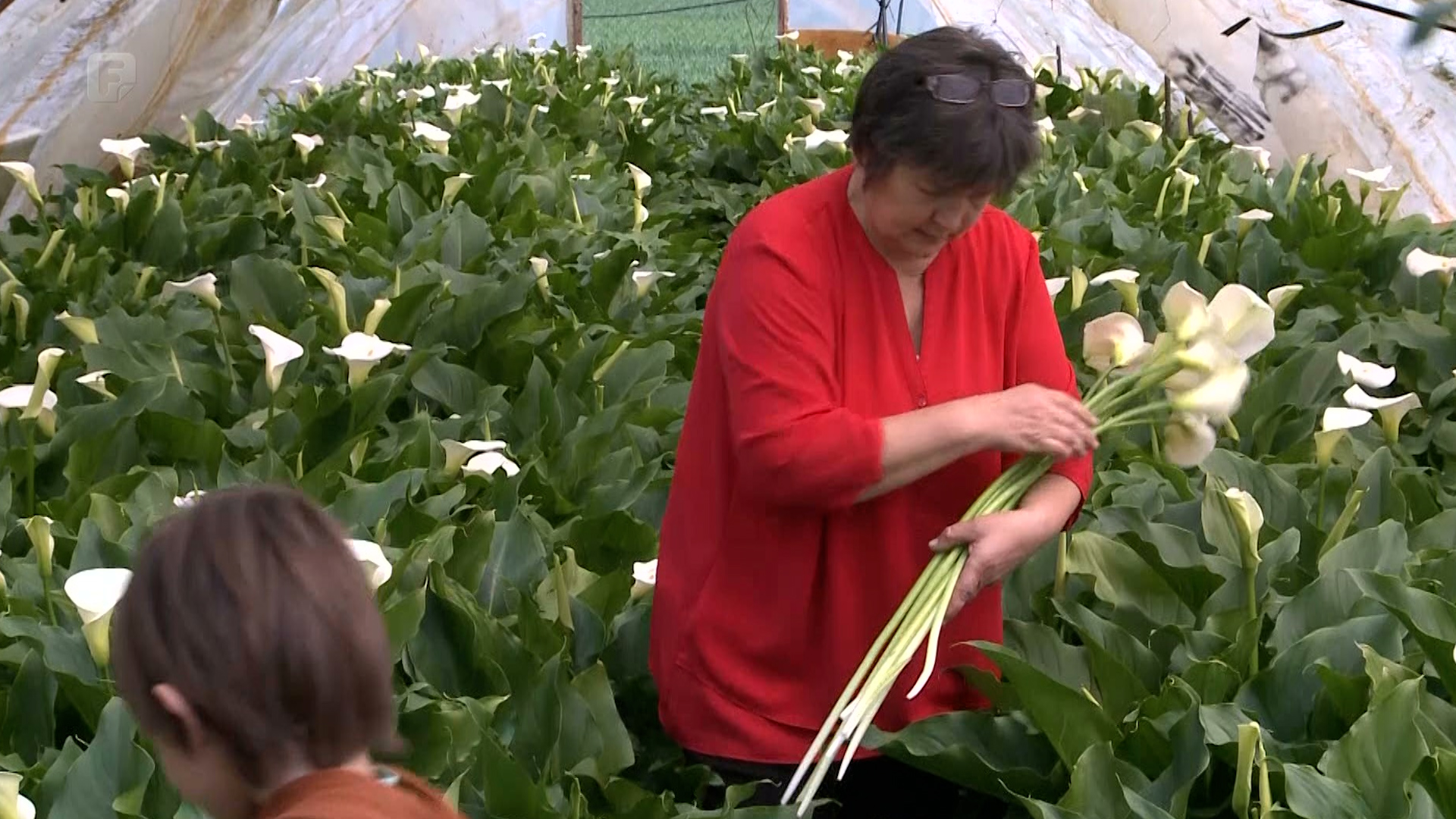 Porodica iz Bijeljine uspjela od hobija napraviti uspješan posao