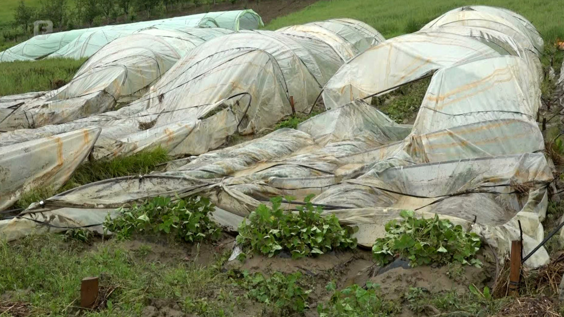 Vremenske neprilike uništile ovogodišnji prinos voća na području Semberije i Majevice