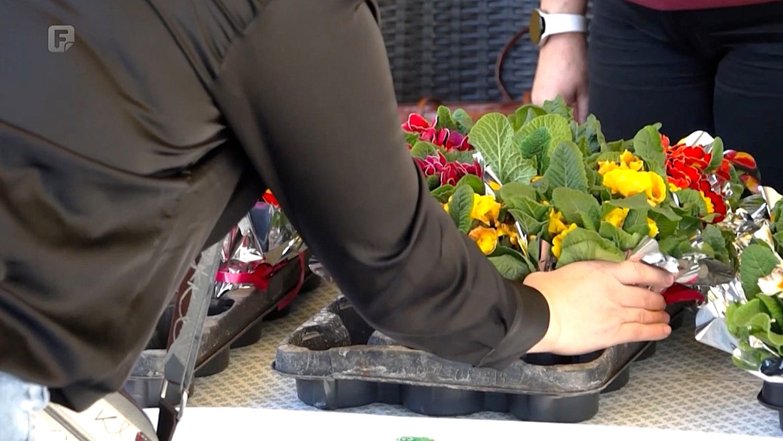 Građani Mostara mijenjali plastične boce za sadnice cvijeća