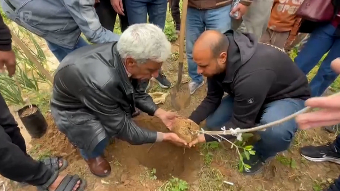 U sjeni razaranja: Palestinci obilježavaju Dan zemlje - 'Ostajemo ukorijenjeni kao masline'