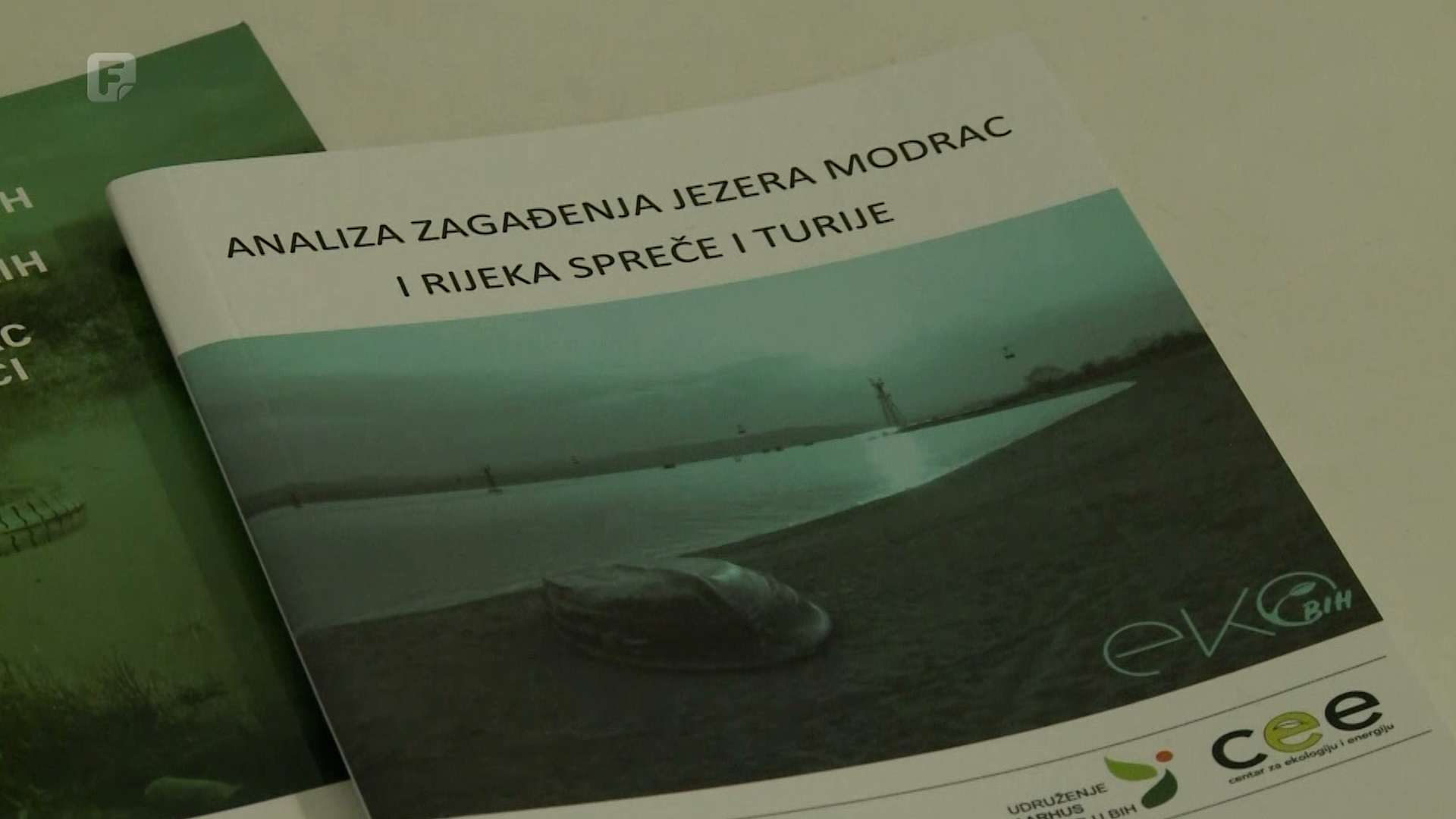 Visoka koncentracija teških metala u ribi iz Modraca