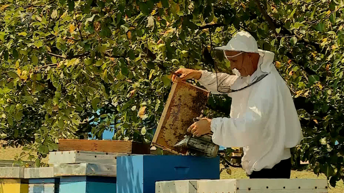 Pčelarstvo u TK-u ima potencijala, ali je pčelarima potrebna podrška