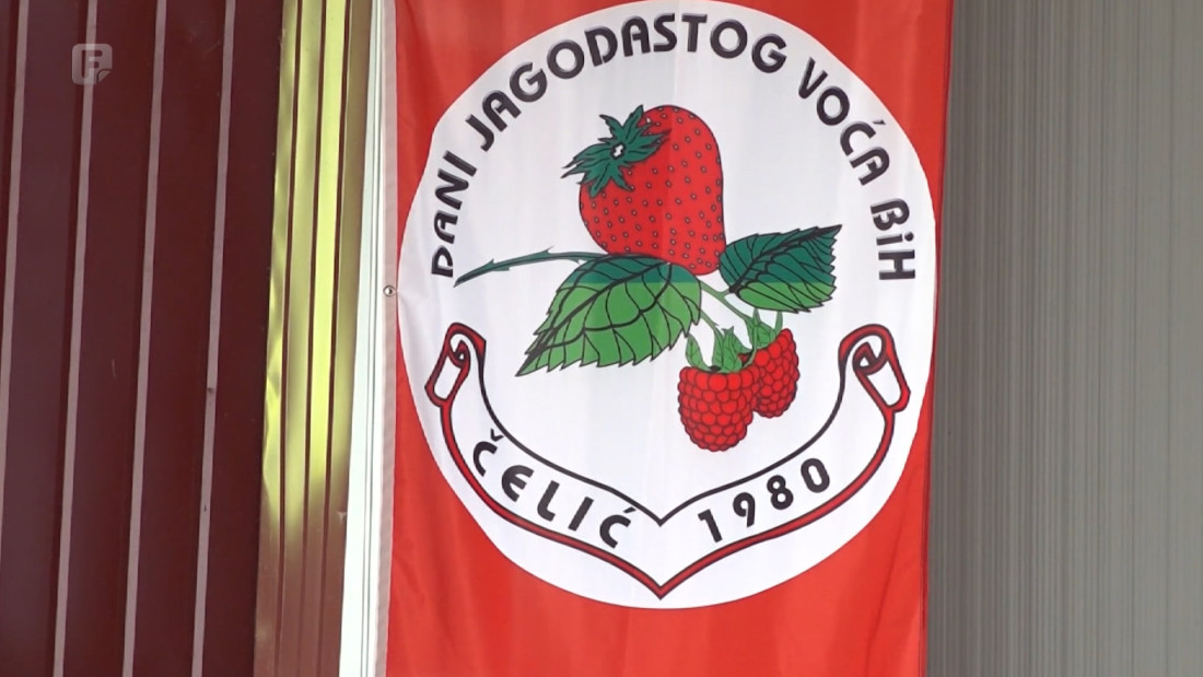 Otvorena manifestacija 'Dani jagodastog voća' u Čeliću