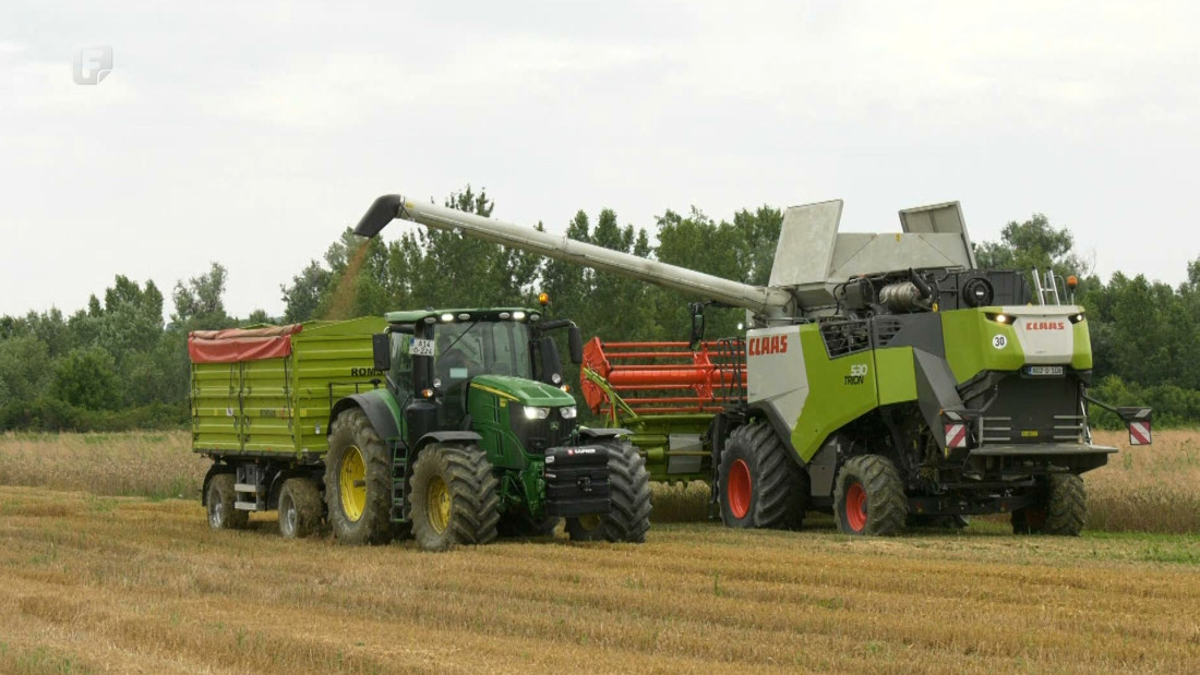 Slab urod pšenice u Posavini, cijena otkupa još nije poznata