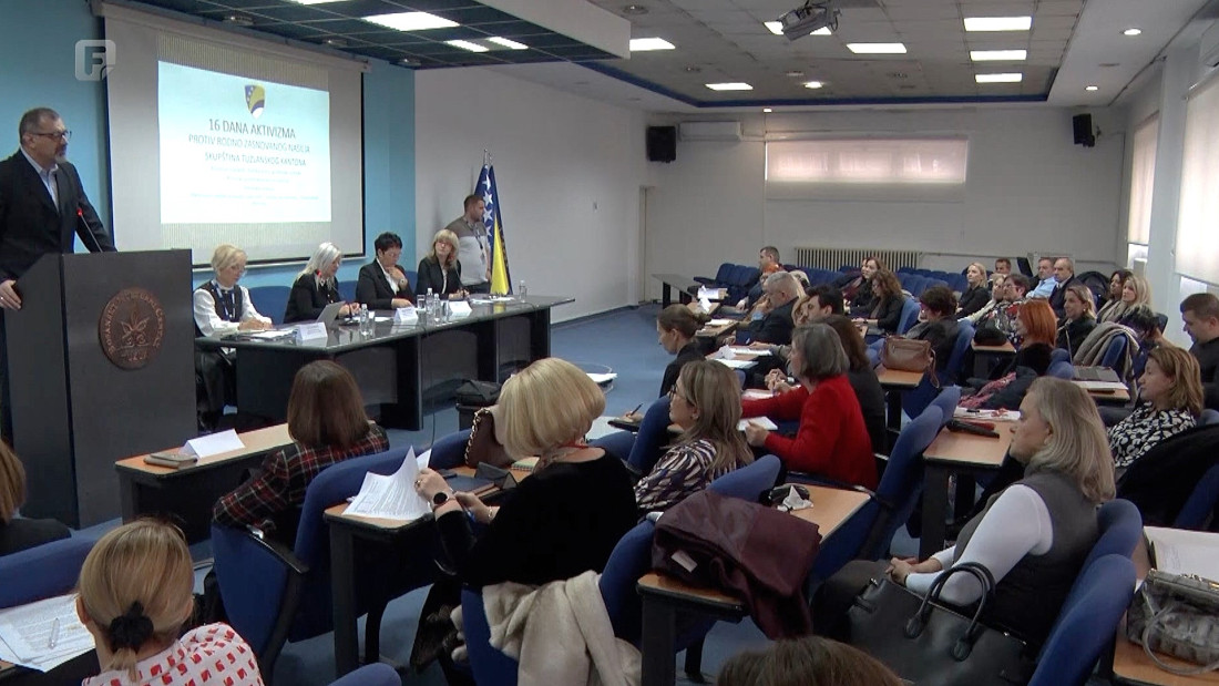 Skupština TK-a o mehanizmima zaštite od nasilja u porodici i nasilja nad ženama