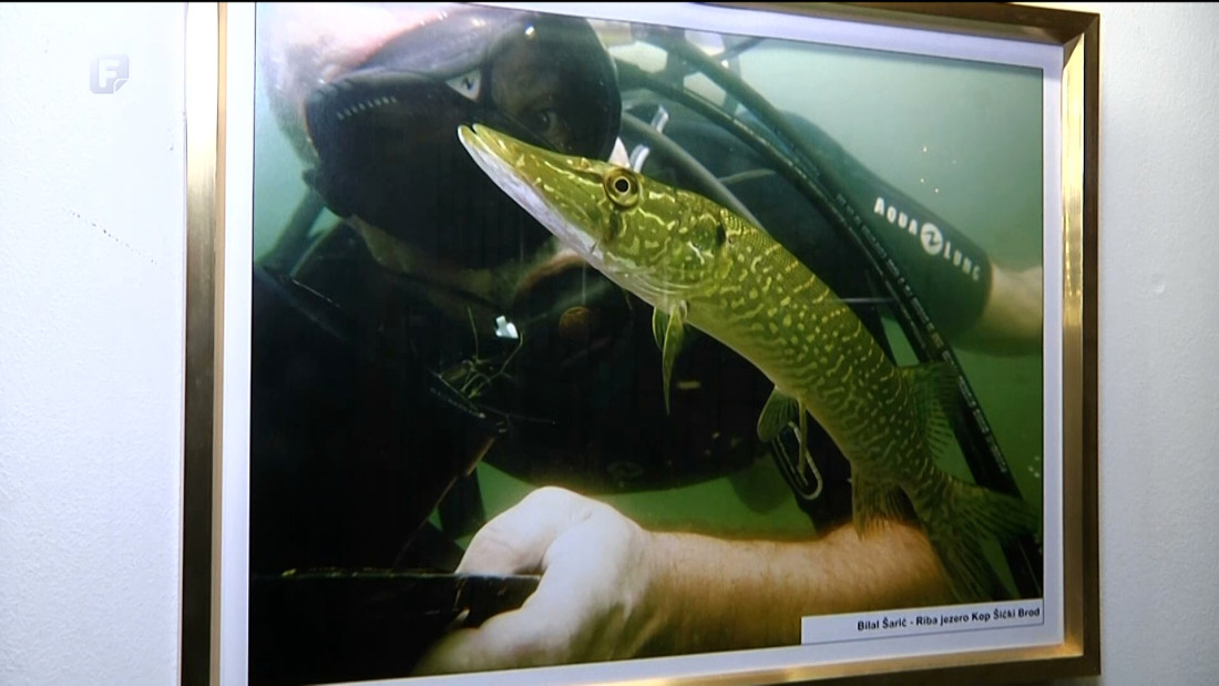 Izložba podvodne fotografije u Lukavcu