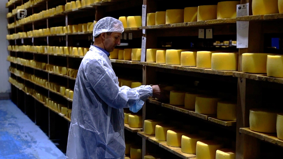 Livanjski sir s dušom: Tradicija i kvaliteta nagrađeni zlatom i bronzom