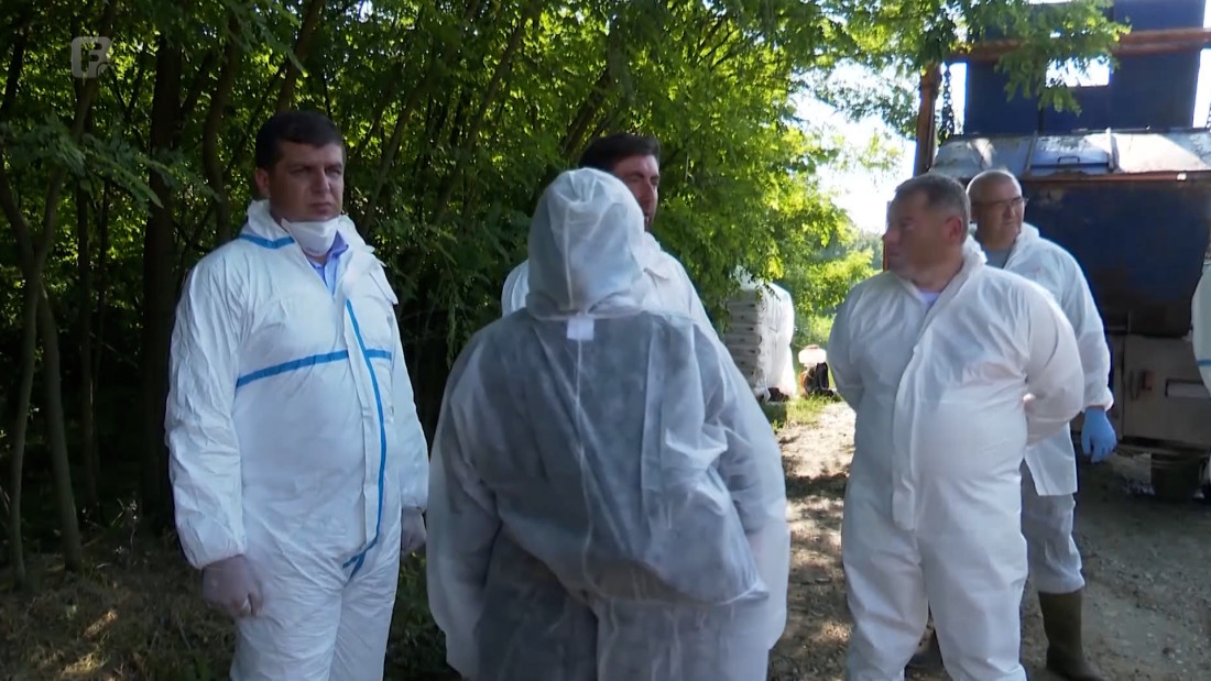 Farmeri u panici: Afrička kuga svinja pojavila se na pojedinim farmama