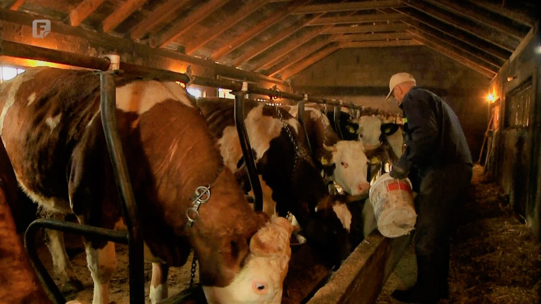 Budžet za poljoprivredu ove godine velik, ali troškovi još veći