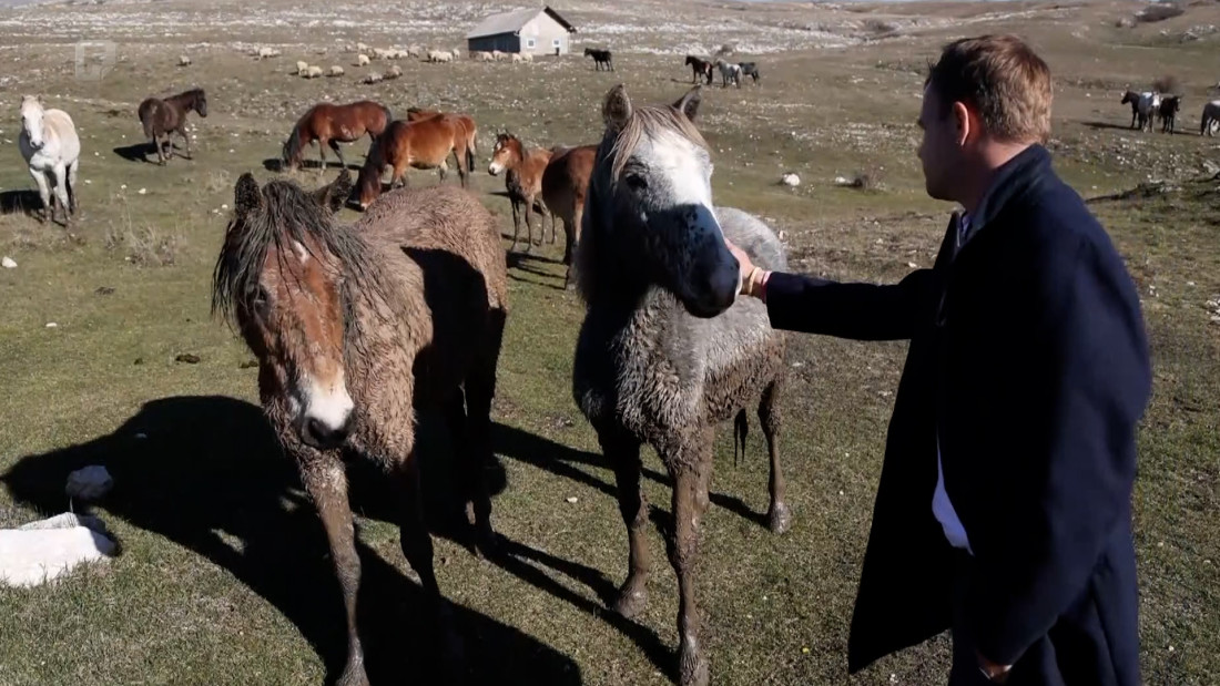 Počinje izrada studije za proglašenje Krug planine zaštićenim područjem