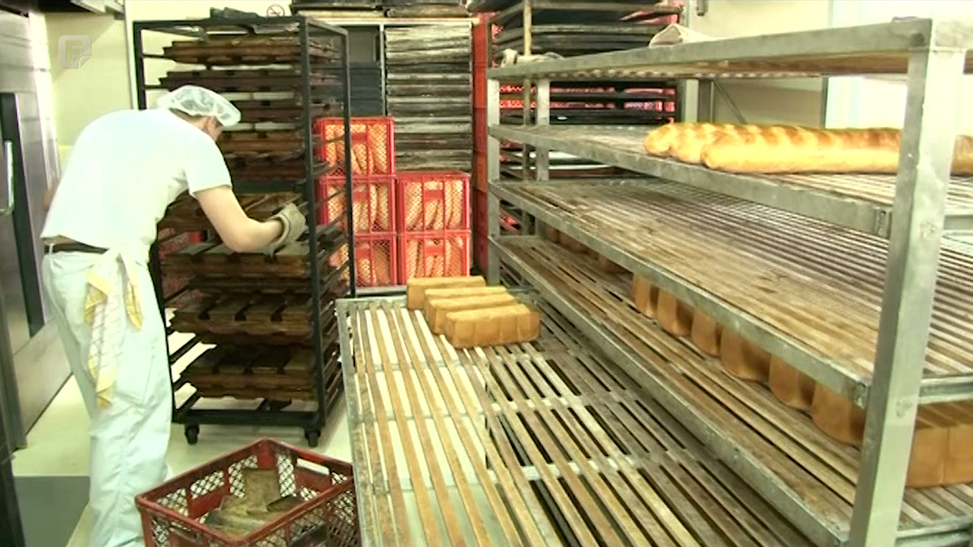 Pšenica na tržištu sve skuplja, ratari ogorčeni nemarom vlasti