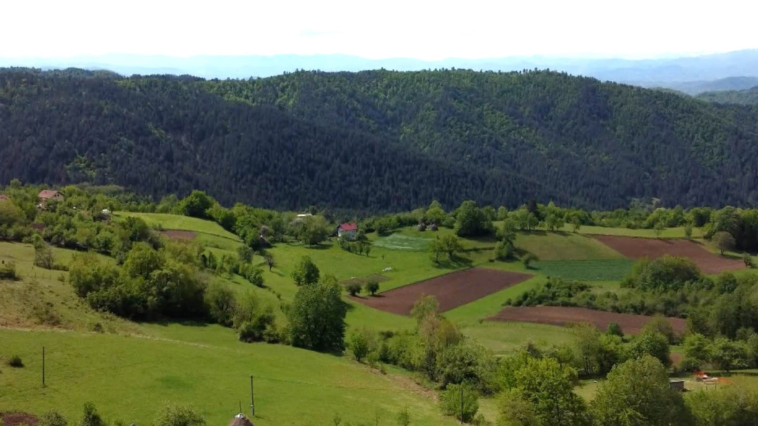 Ozren jedno od najvažnijih staništa brojnih ugroženih biljnih i životinjskih vrsta