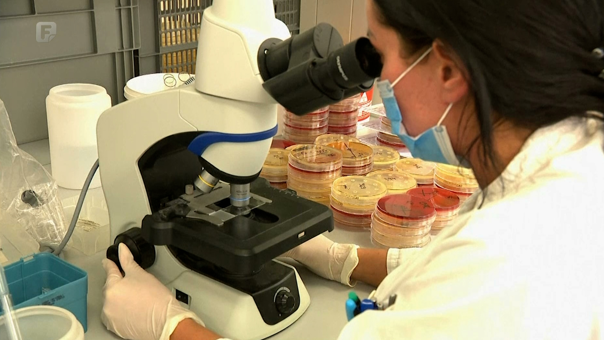 Nema naznaka kraju pandemije, novi soj obara rekorde