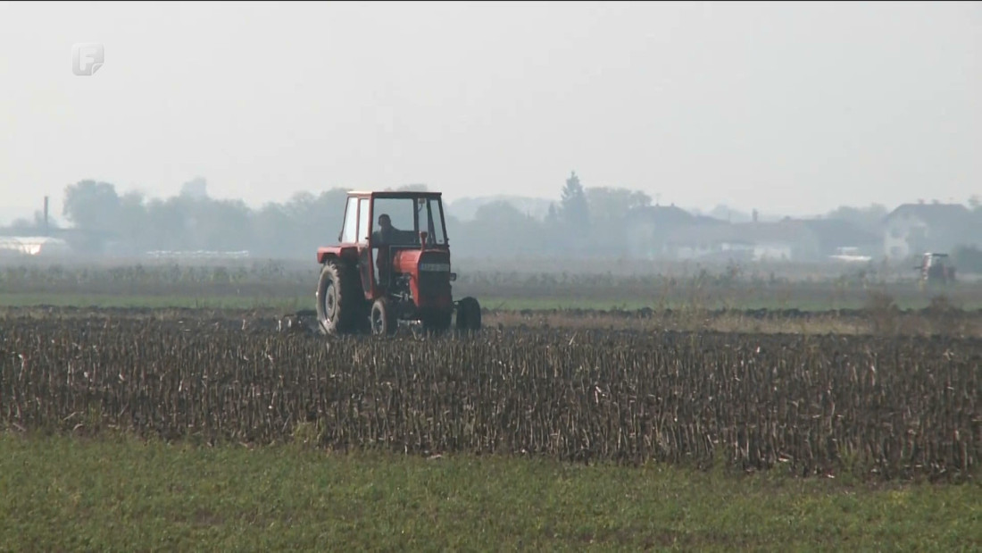 Cijene pekarskih proizvoda u odnosu na cijene pšenice nerealno visoke