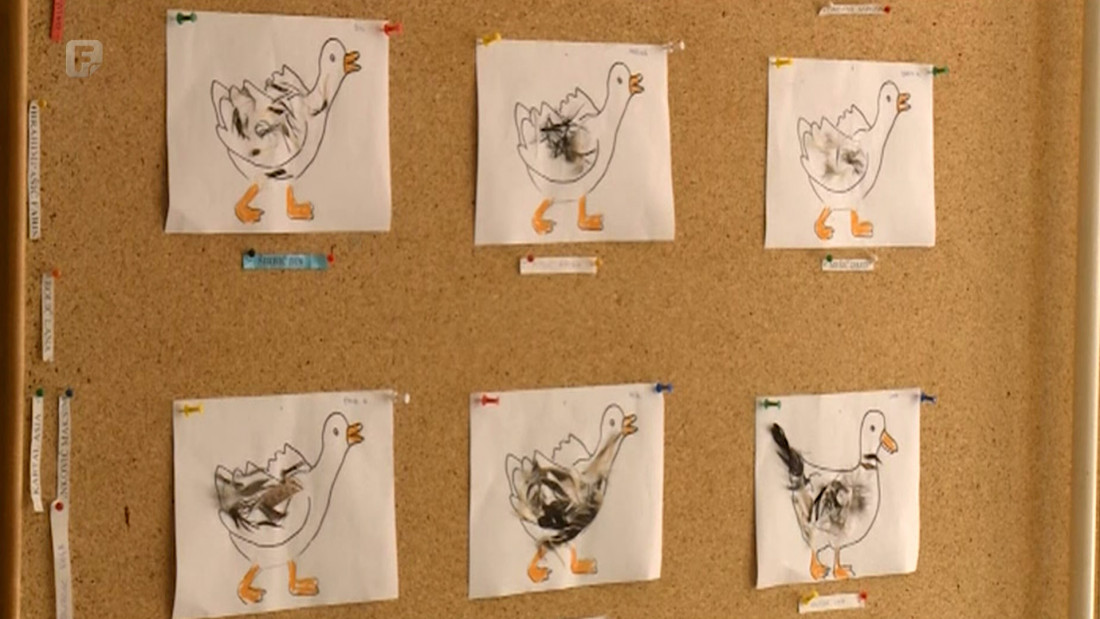 Na listi čekanja za upis u predškolske ustanove u USK-u 150 mališana