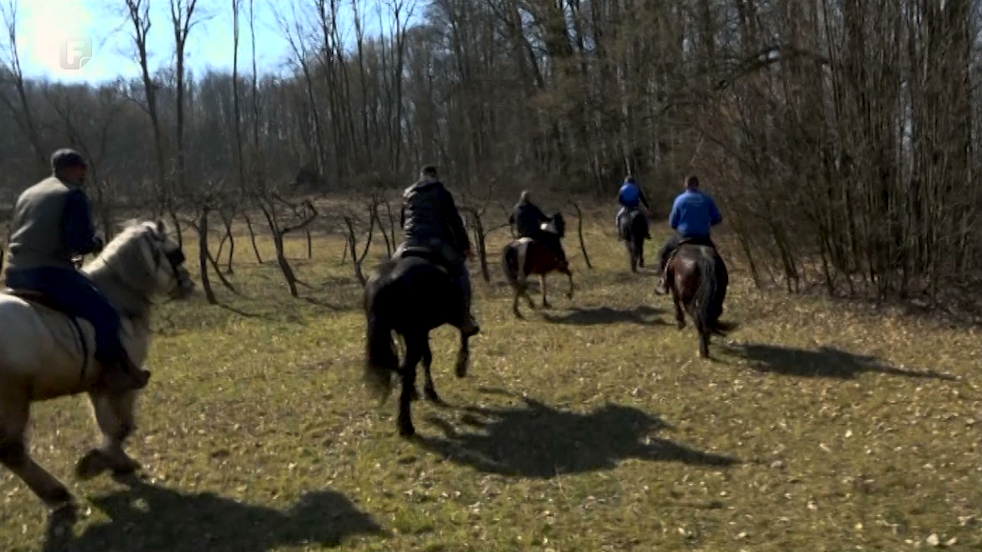 Mini hipodrom uz terapijsko jahanje u Doboj-Jugu